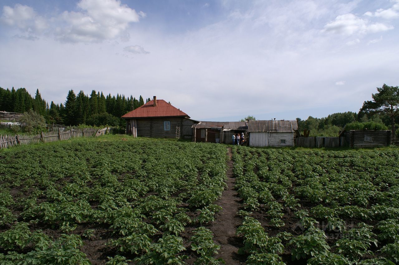 Купить дом в селе Старая Ювала Кожевниковского района, продажа домов - база  объявлений Циан. Найдено 4 объявления