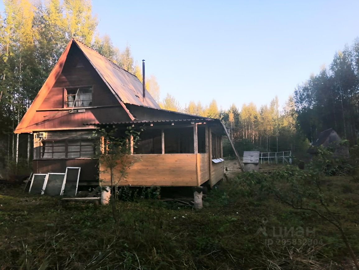 Купить дачу недорого в сельском поселении Лисинское Тосненского района.  Найдено 15 объявлений.