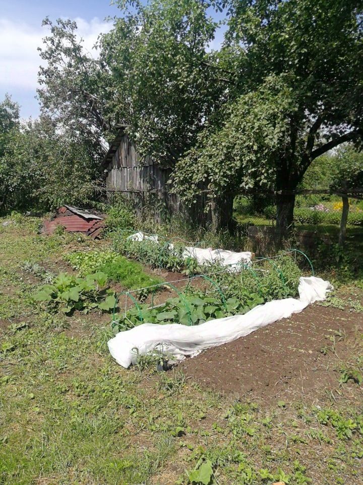 Снять дом 15м² Московская область, Лосино-Петровский городской округ ...