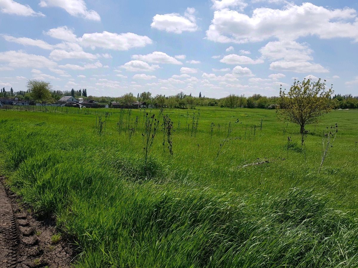 Купить дом в городском поселении Курганинское Краснодарского края, продажа  домов - база объявлений Циан. Найдено 1 объявление