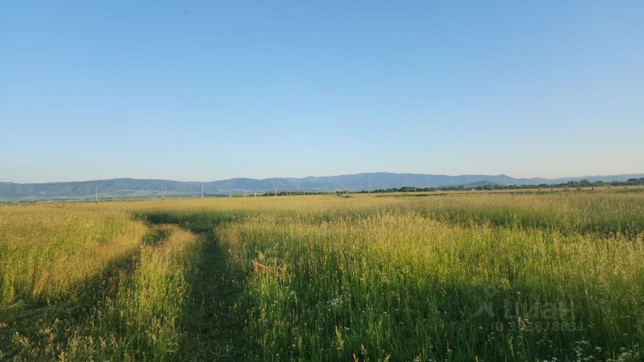 Продаю дом 250сот. Алтайский край, Смоленский район, Сычевка село - база  ЦИАН, объявление 303878831