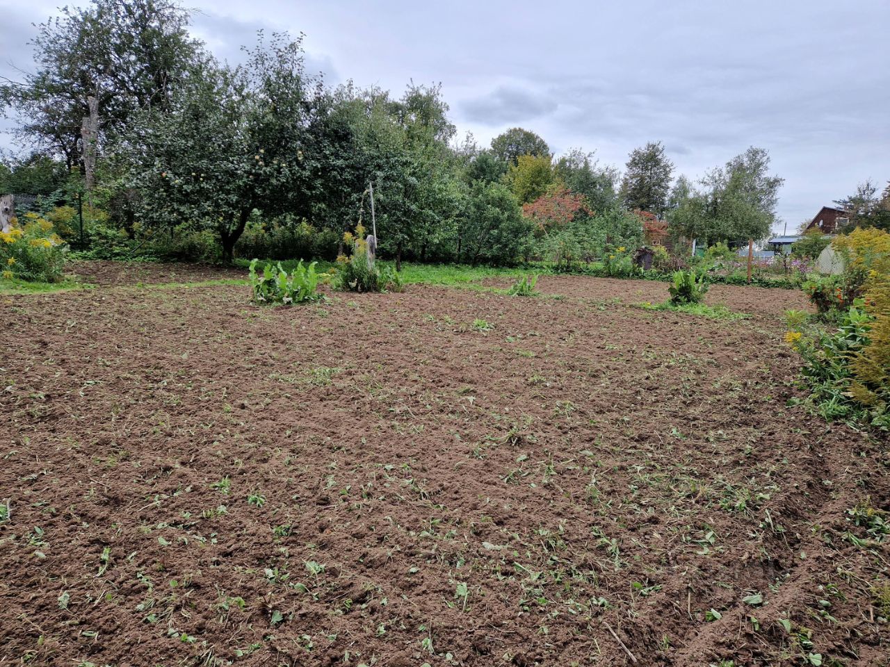 Купить дом в переулке Лесной в городе Таруса, продажа домов - база  объявлений Циан. Найдено 1 объявление