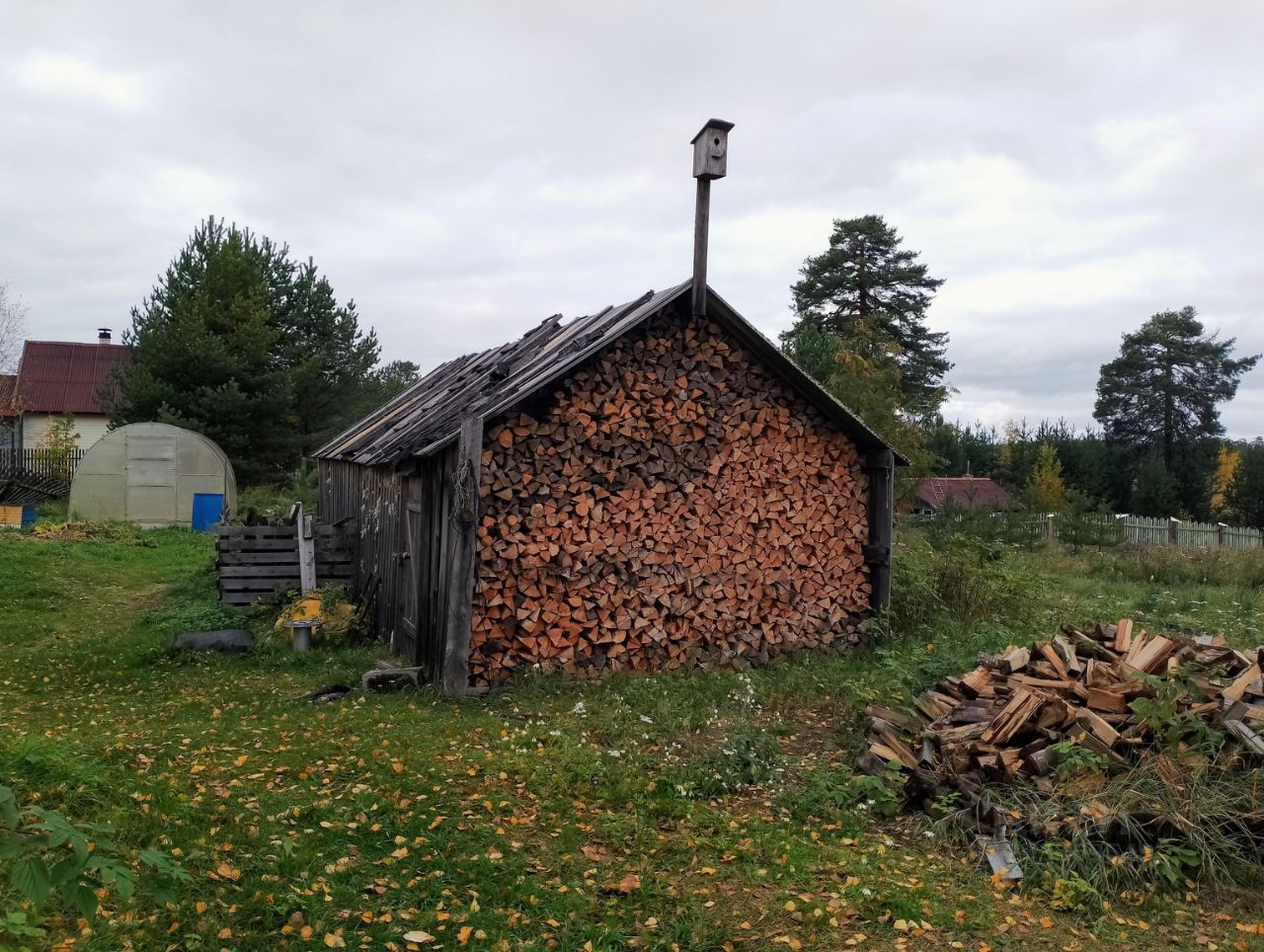 Купить загородную недвижимость в поселке Тикша Муезерского района, продажа  загородной недвижимости - база объявлений Циан. Найдено 1 объявление