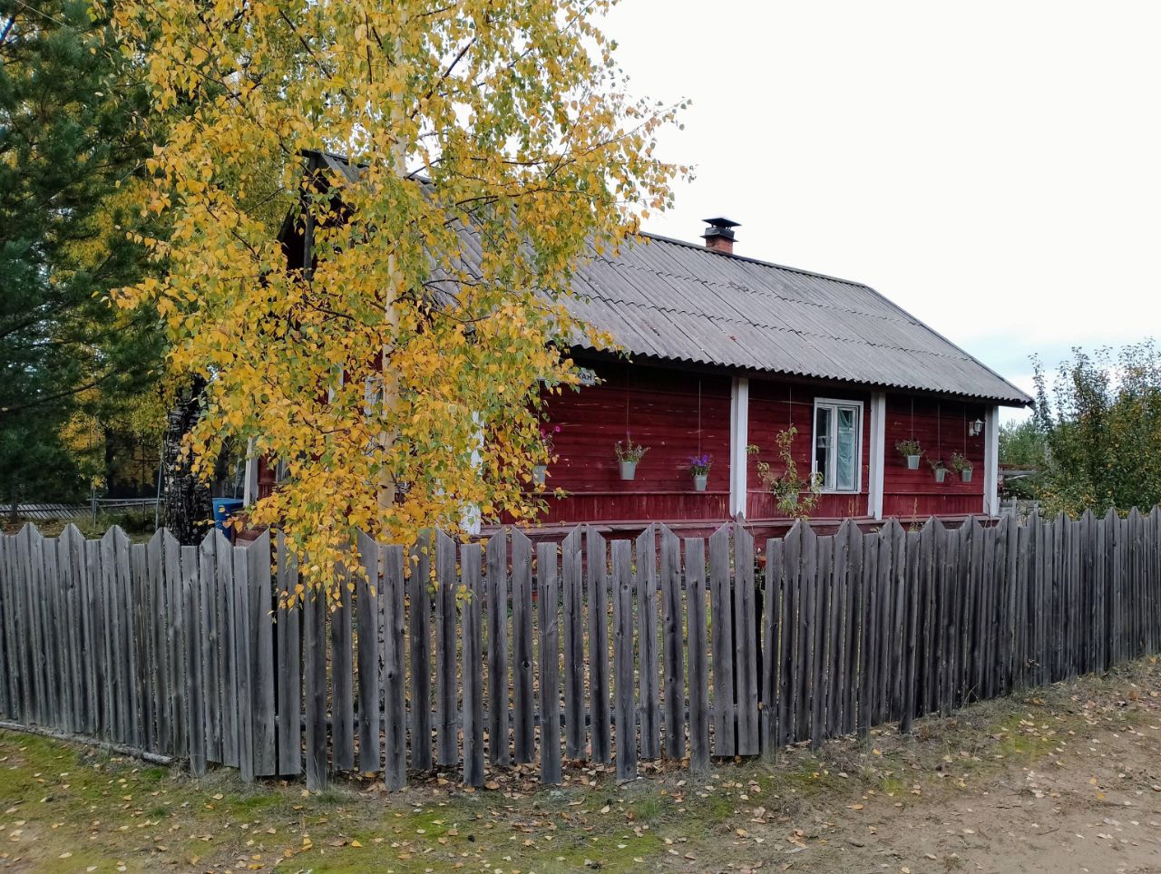 Купить загородную недвижимость в поселке Тикша Муезерского района, продажа  загородной недвижимости - база объявлений Циан. Найдено 1 объявление