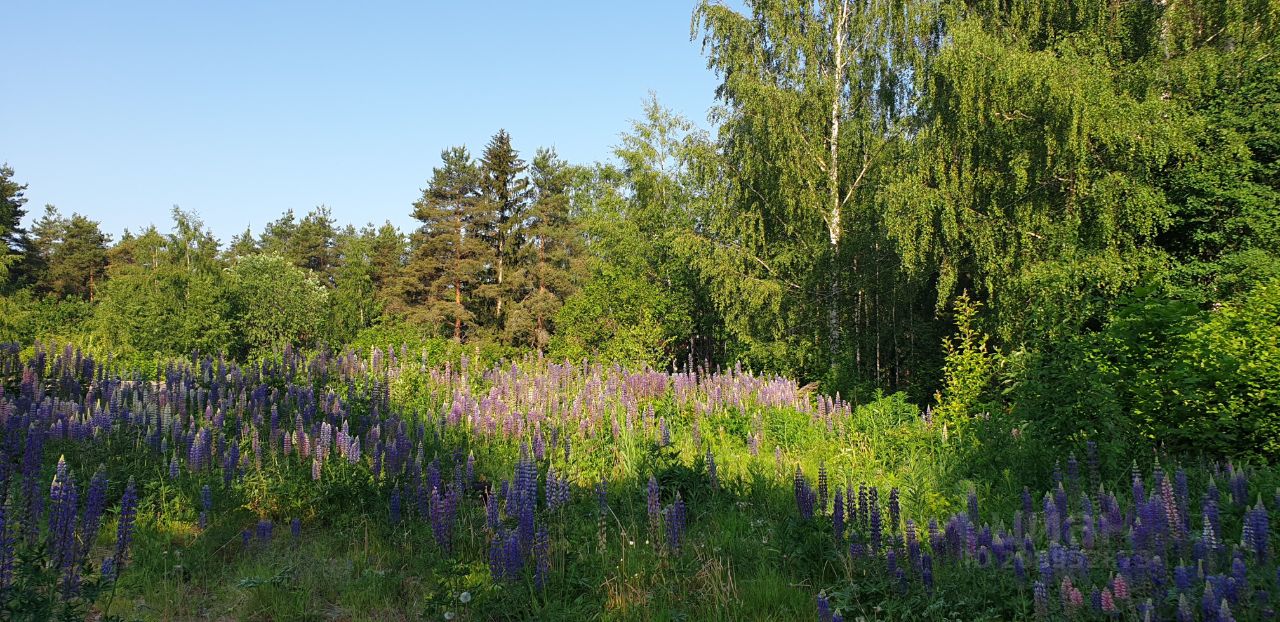 Купить дом на улице Офицерская в городском поселке Токсово в городском  поселении Токсовское, продажа домов - база объявлений Циан. Найдено 3  объявления