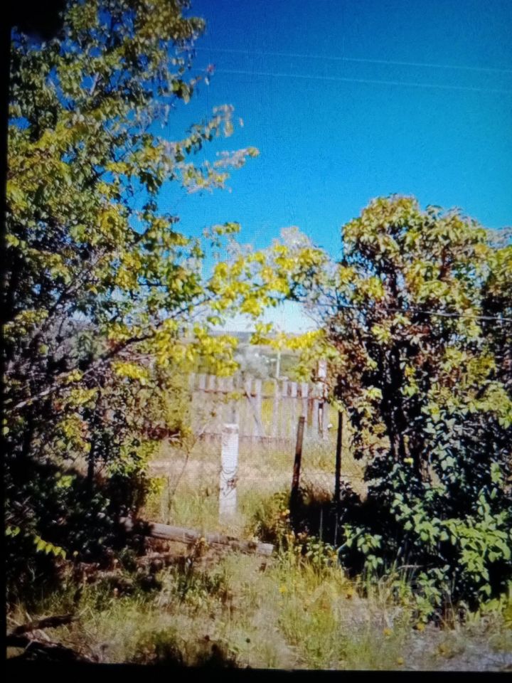 Дом 25 м² в 81 — фото 5