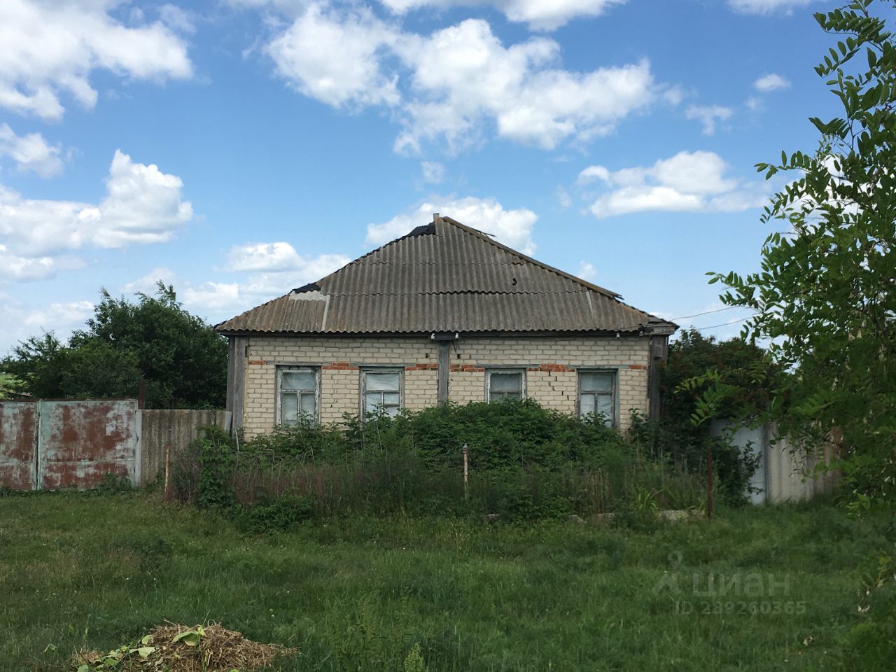 Дом в васильевке