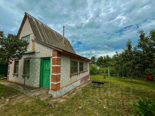 Купить всё для дома и дачи в Курске