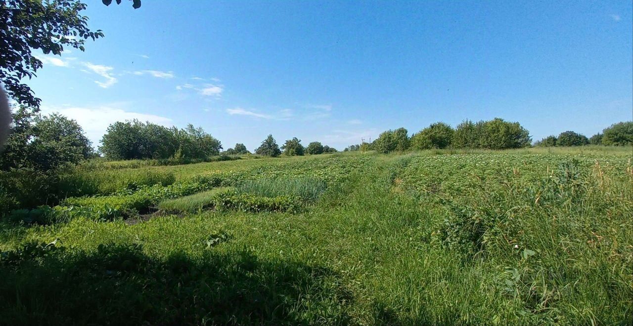 Купить загородную недвижимость в деревне Ягодное Нижегородской области,  продажа загородной недвижимости - база объявлений Циан. Найдено 1 объявление