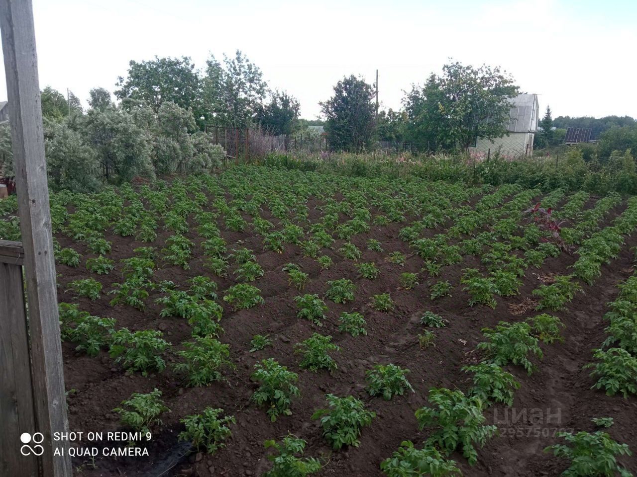 Купить дом без посредников в Ребрихинском районе Алтайского края от  хозяина, продажа домов с участком от собственника в Ребрихинском районе  Алтайского края. Найдено 11 объявлений.