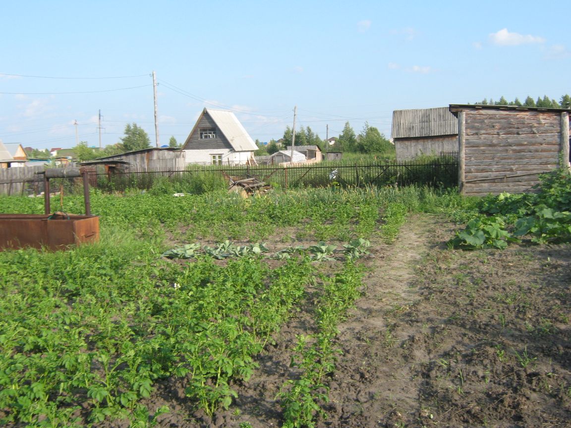 Купить загородную недвижимость в СК Ясная Поляна-2 в муниципальном округе  Кетовский, продажа загородной недвижимости - база объявлений Циан. Найдено  2 объявления