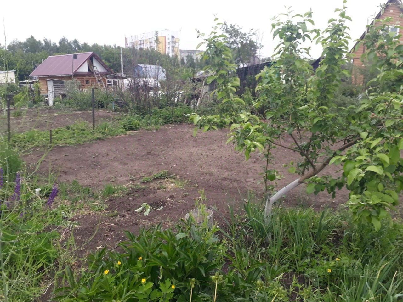 Купить загородную недвижимость в СТ Южный Садовод в муниципальном  образовании Барнаул, продажа загородной недвижимости - база объявлений  Циан. Найдено 1 объявление