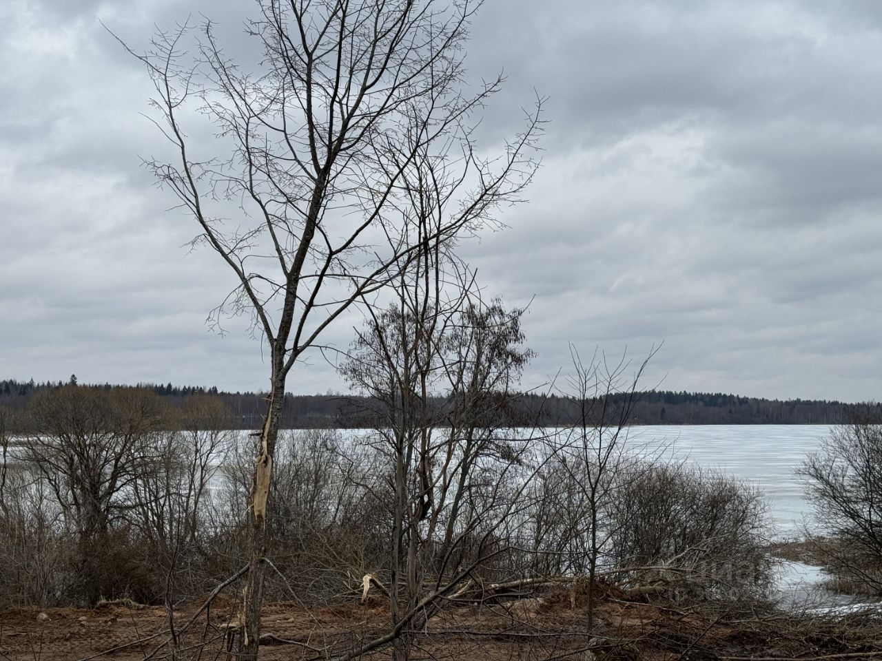 Купить загородную недвижимость в деревне Заозерье Гатчинского района,  продажа загородной недвижимости - база объявлений Циан. Найдено 5 объявлений