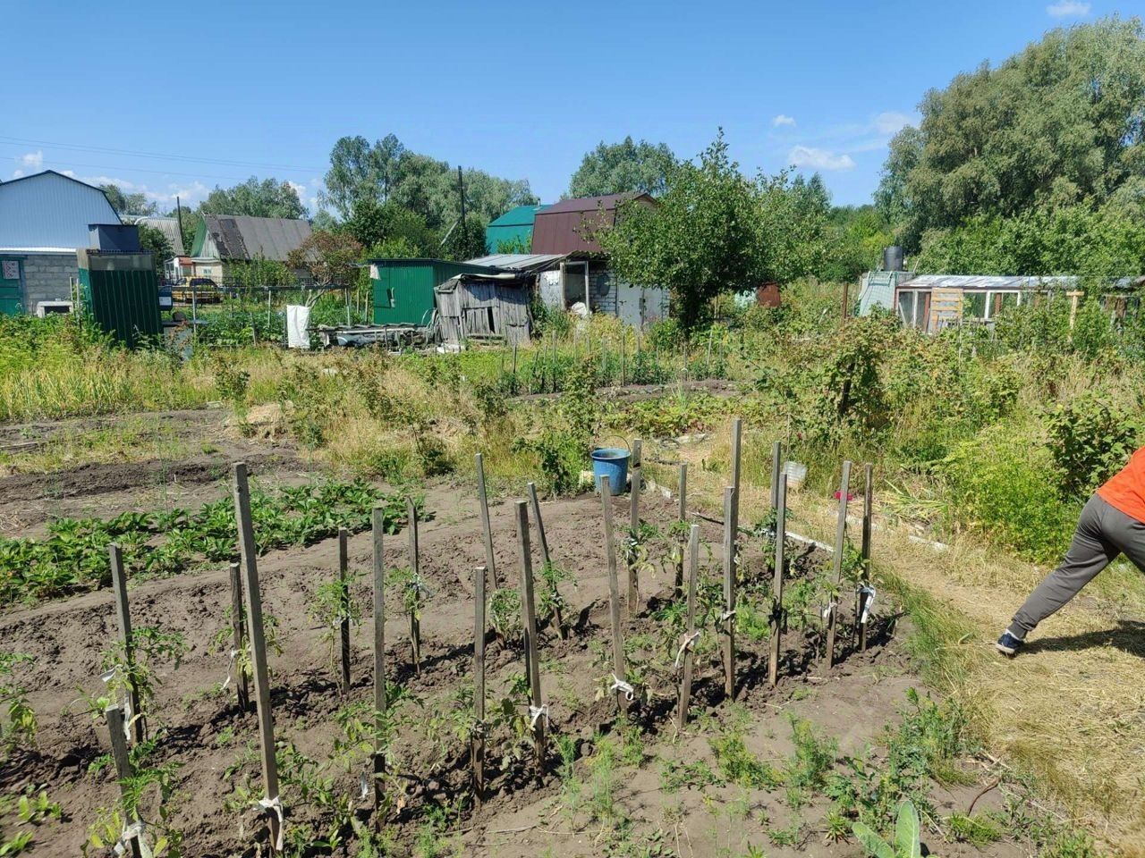 Купить дом в СНТ Заречное в сельском поселении Прибрежненское, продажа домов  - база объявлений Циан. Найдено 4 объявления