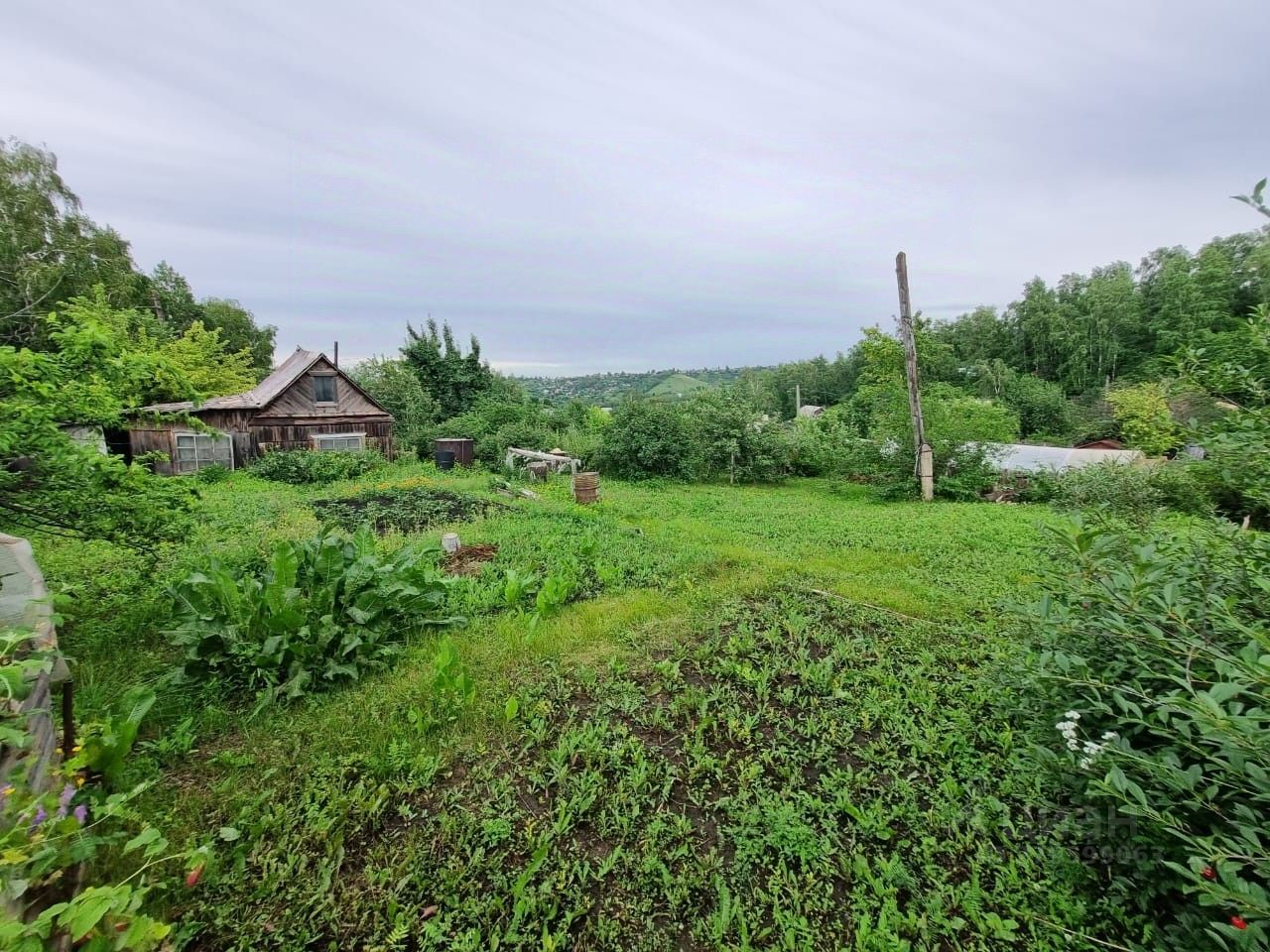 СНТ Заря. Красноярск Рябинушка Красноярский СНТ. СНТ акварель Красноярск.