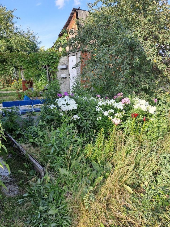 Продается дача в Екатеринбурге, общая площадь 50 кв.м. Участок с цветущим садом, кирпичный дом, тихое место для отдыха.