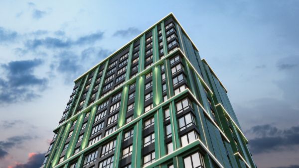 Шаари амин секс