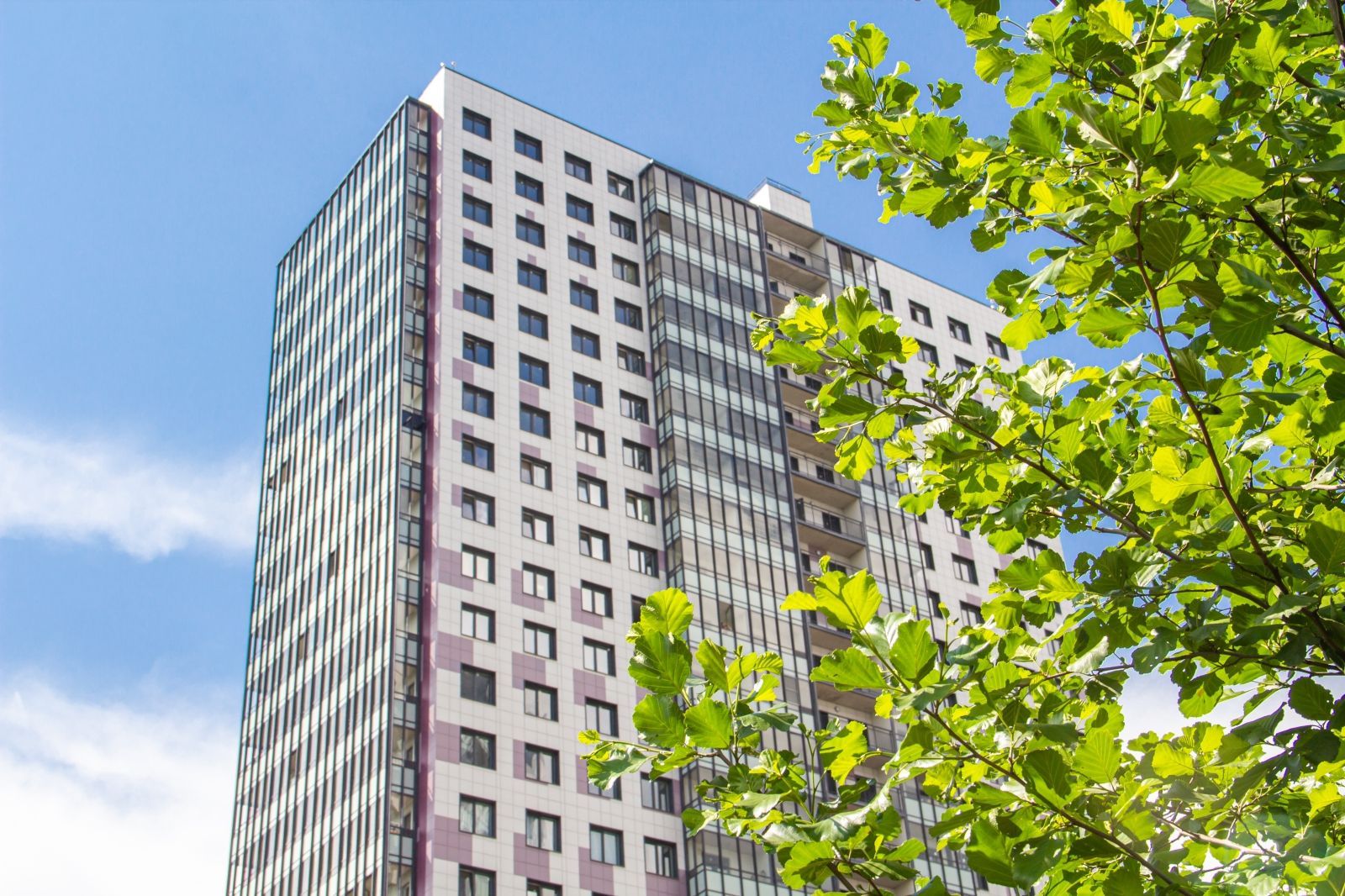 квартира в новостройке