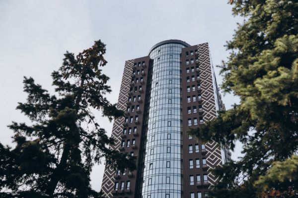 Қыздардың жыныс мүшесіне қол тигізуі