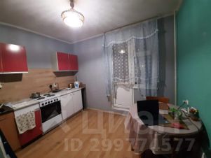 койко-место 81/20 м², этаж 15