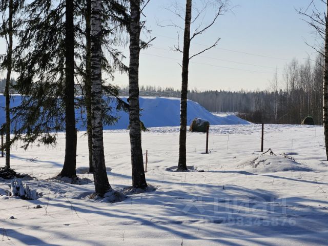 Ошибка загрузки фото