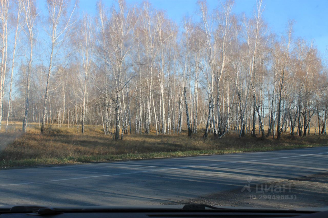 Купить Земельный Участок В Верх Туле Новосибирской