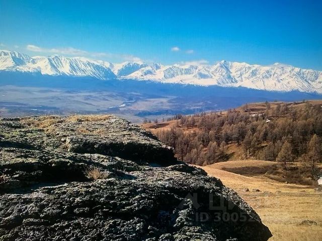 Ошибка загрузки фото