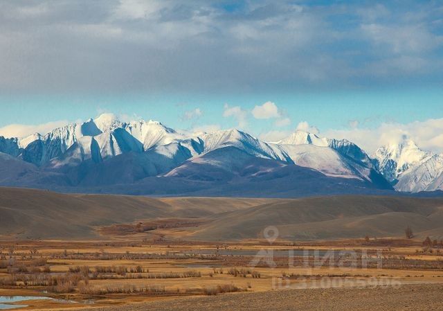 Ошибка загрузки фото