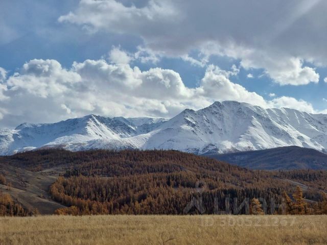 Ошибка загрузки фото