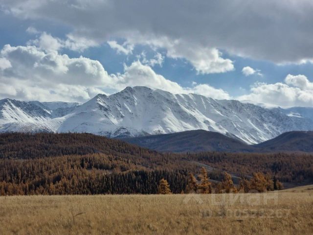 Ошибка загрузки фото