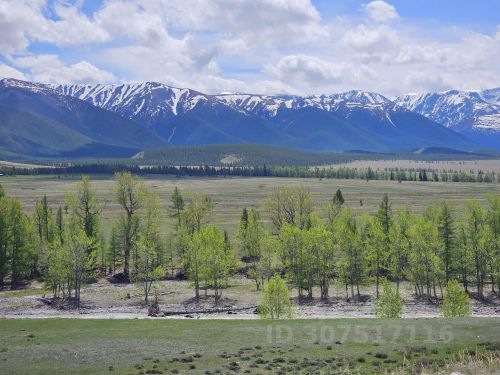 Ошибка загрузки фото