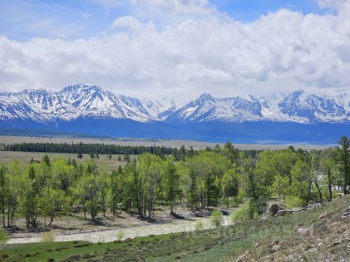 Ошибка загрузки фото