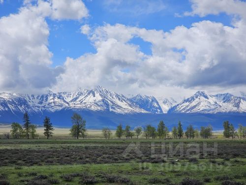 Ошибка загрузки фото