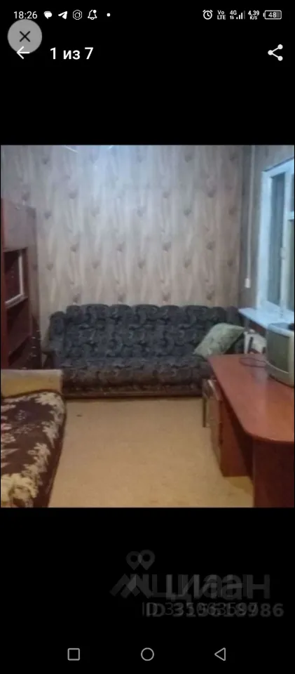 Студия в аренду, Аэрофлот-1 СНТ, 150 — 10 000 ₽/мес