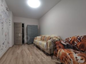 комната 53/14 м², этаж 15