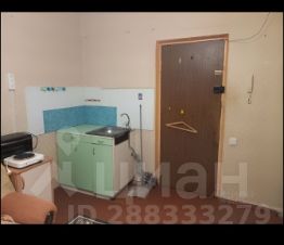 комната 14/14 м², этаж 5