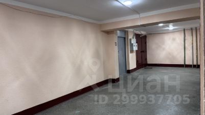 комната 228/12 м², этаж 13