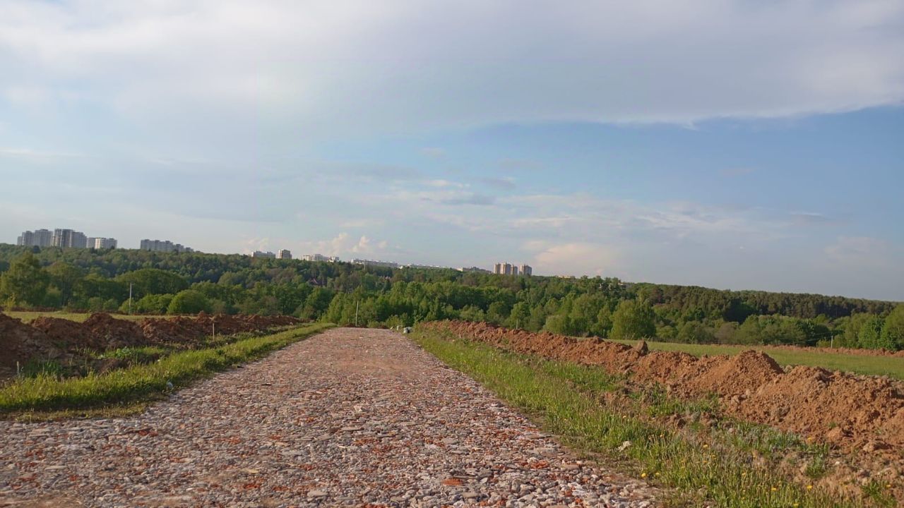 Купить коттедж 5сот. Московская область, Подольск городской округ, Бородино  деревня, м. Подольск - база ЦИАН, объявление 303473988