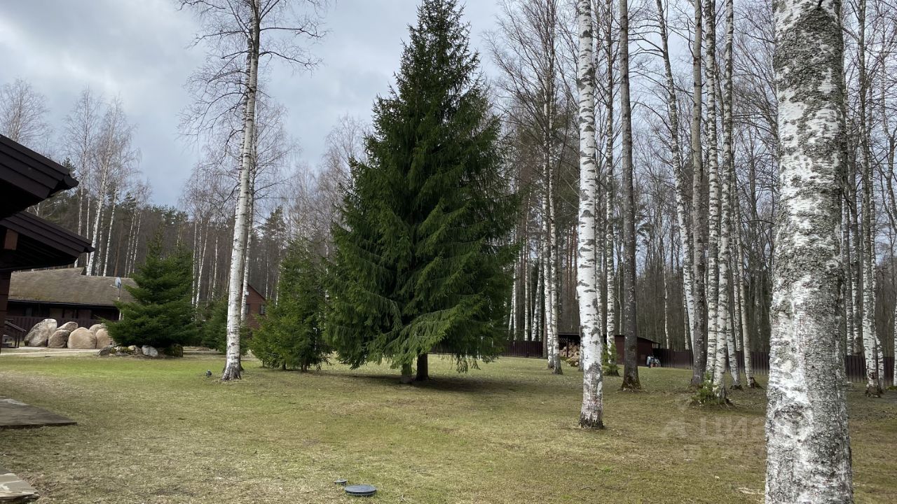 Купить дом в коттеджном поселке Сосны в сельском поселении Петровское,  продажа домов - база объявлений Циан. Найдено 4 объявления