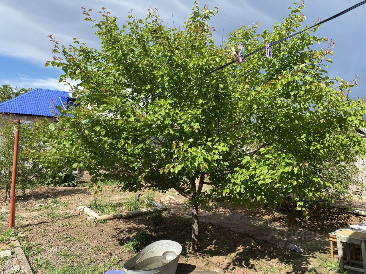 Комната 1-комн. 27.2 м² в Волгоград — фото 6 из 12