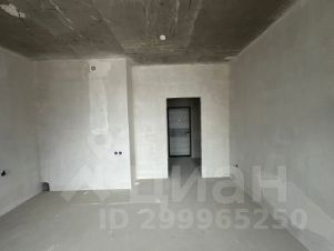 студия, 24 м², этаж 12