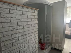 студия, 17 м², этаж 1