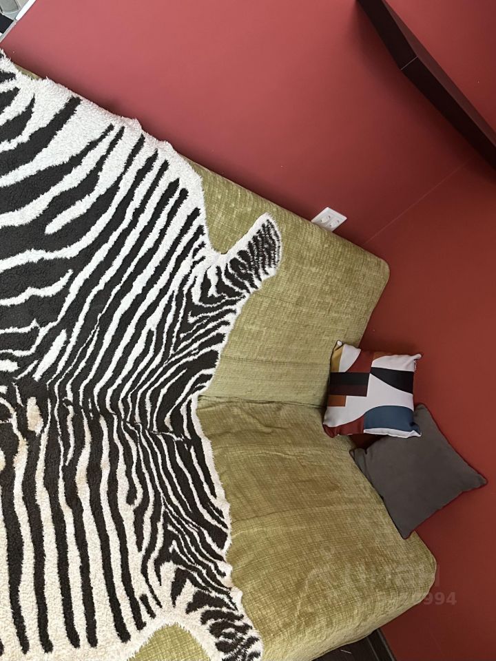 Студия Архангельская область, Архангельск ул. Романа Куликова, 21 (30.0 м²)