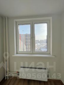 студия, 24 м², этаж 10