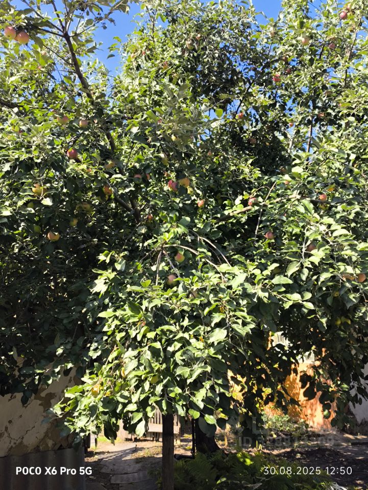 Квартира 3-комн. 59.3 м² в с. Барановка — фото 2