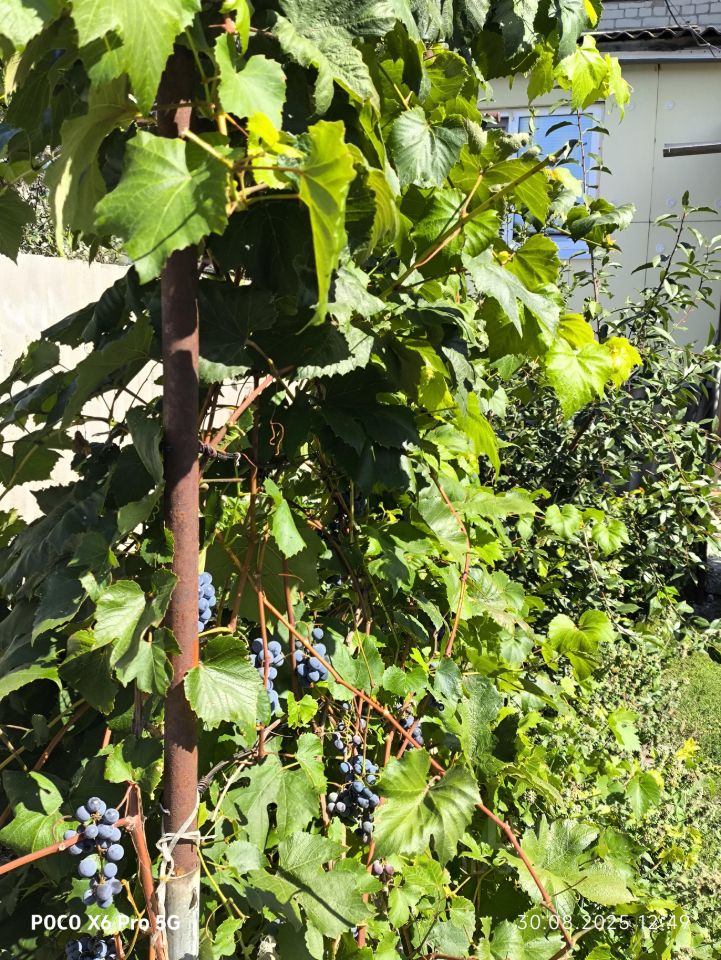 Квартира 3-комн. 59.3 м² в с. Барановка — фото 9 из 9