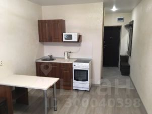 студия, 25 м², этаж 8