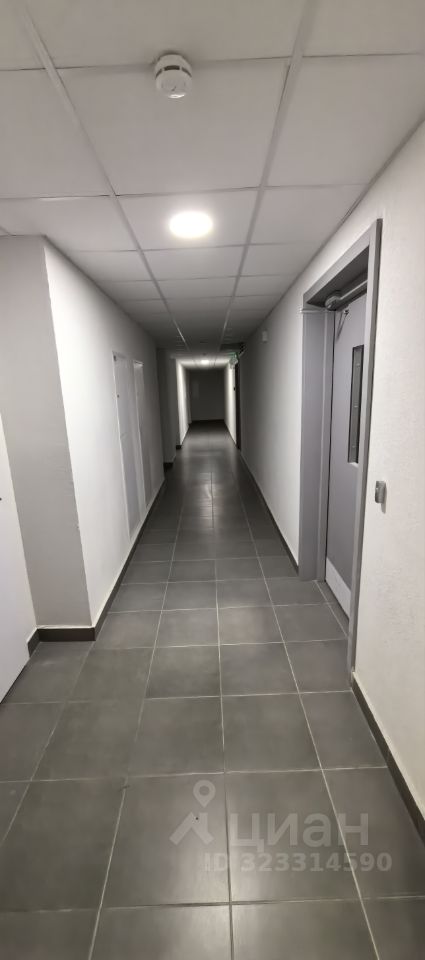 Квартира-студия, 19,8 м² — фото 7