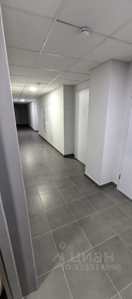 Квартира-студия, 19,8 м² — фото 8