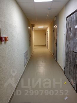 студия, 24 м², этаж 7